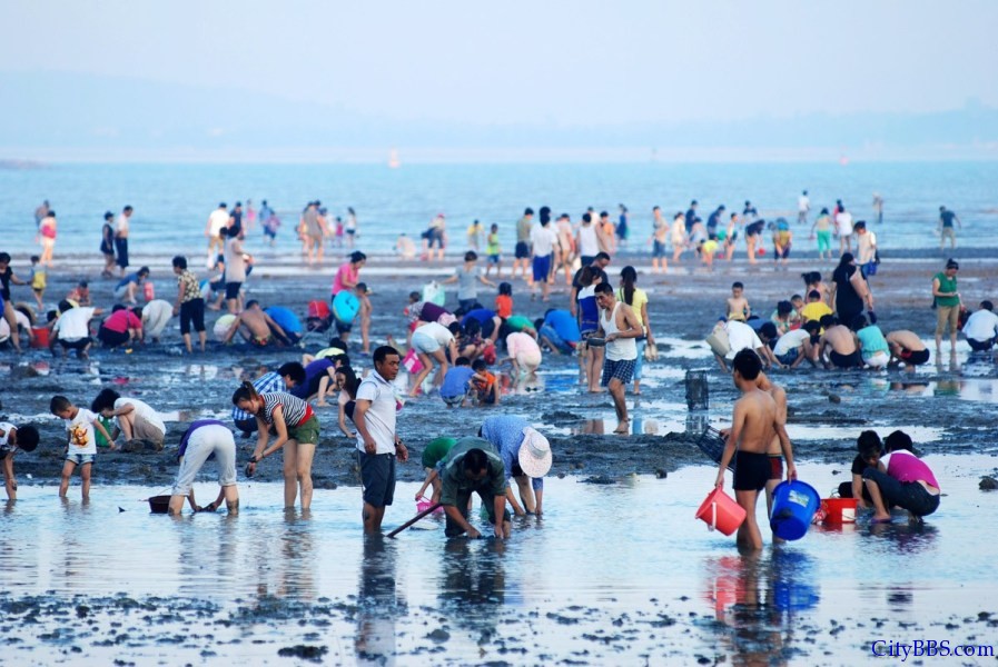 厦门“大潮”退去露出大片海滩引千人赶海