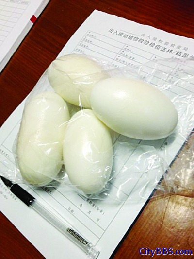 截获的鳄鱼蛋