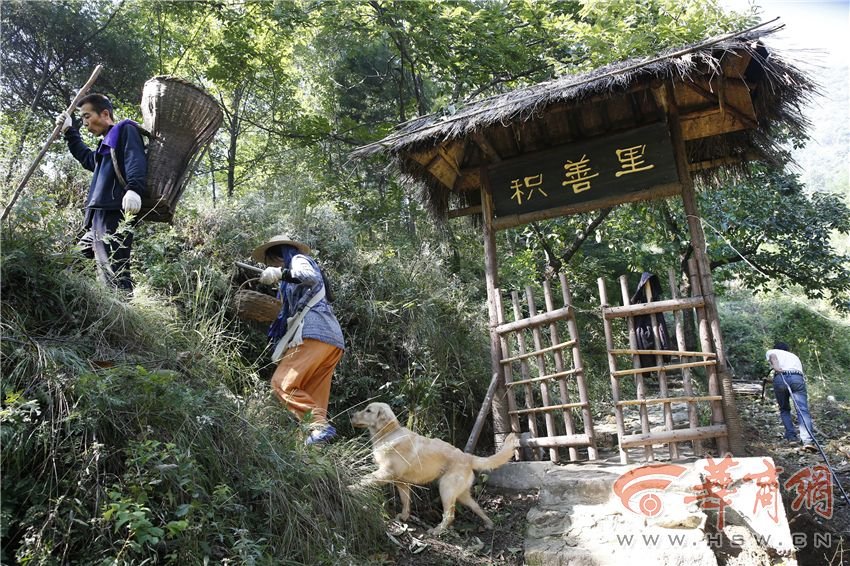 夫妻俩毕业后终南山安家 享受慢生活