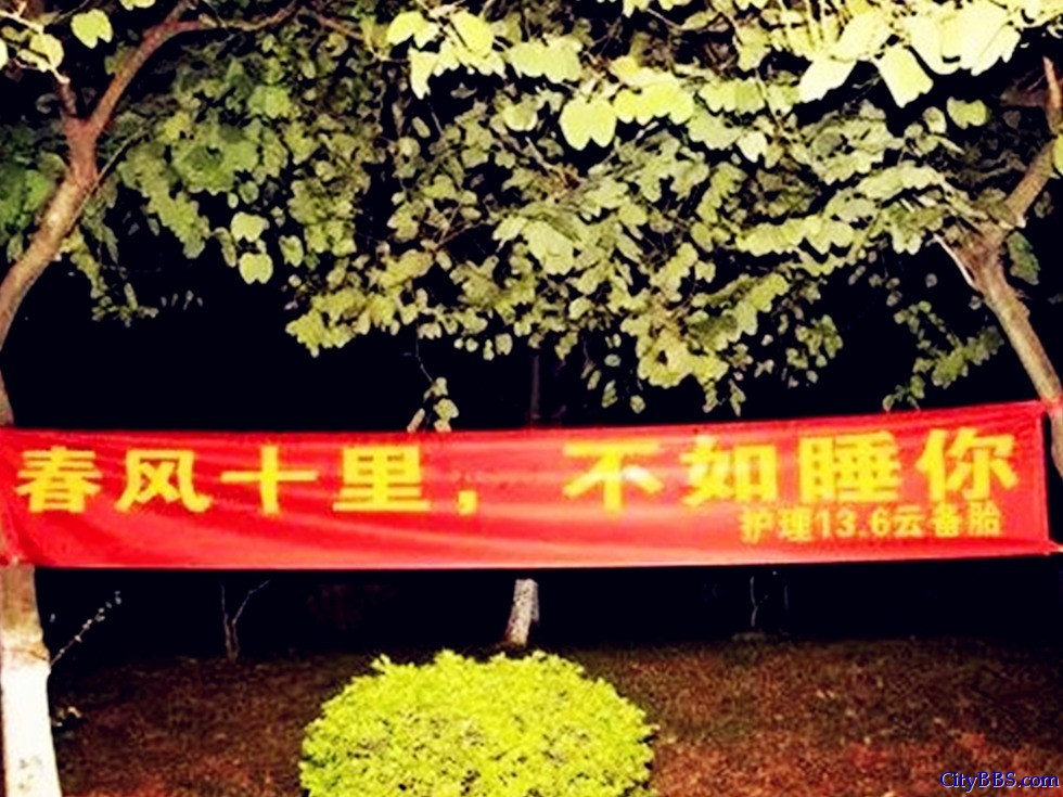 “春风十里不如睡你”写出了大学生的性迷茫