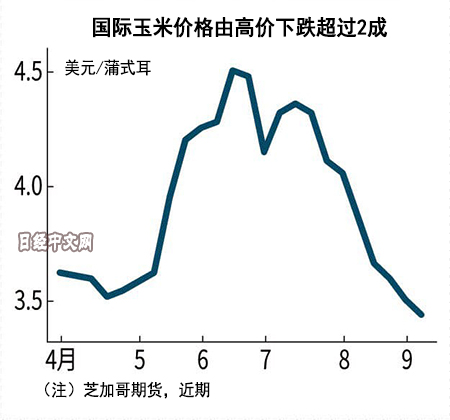 国际玉米价格行情大幅下滑美国库存增加