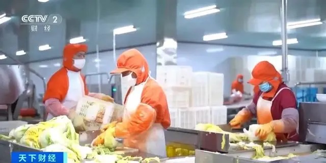 韩国市场超50%泡菜都产自中国这一城市