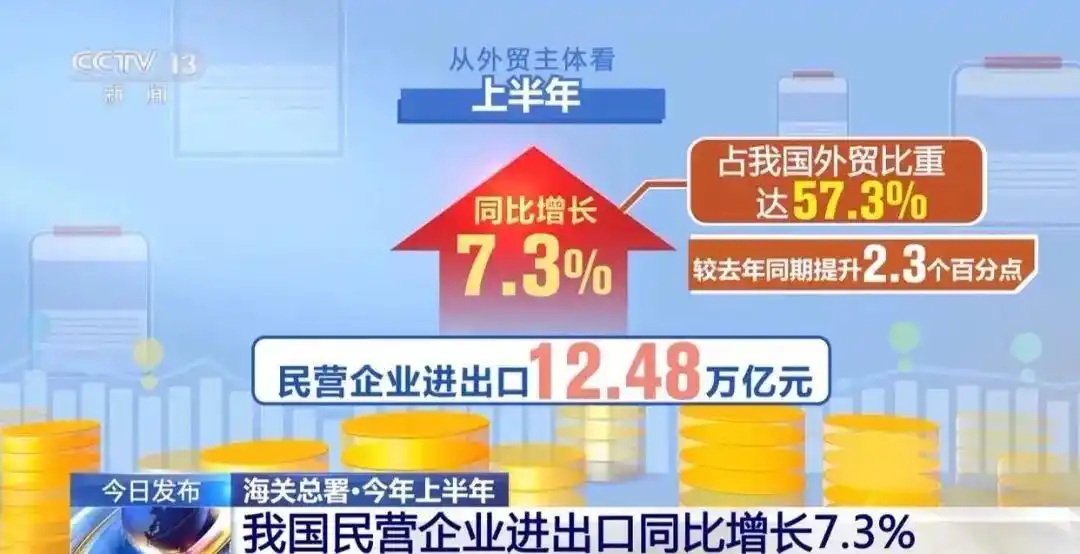 上半年，民营企业进出口12.48万亿元