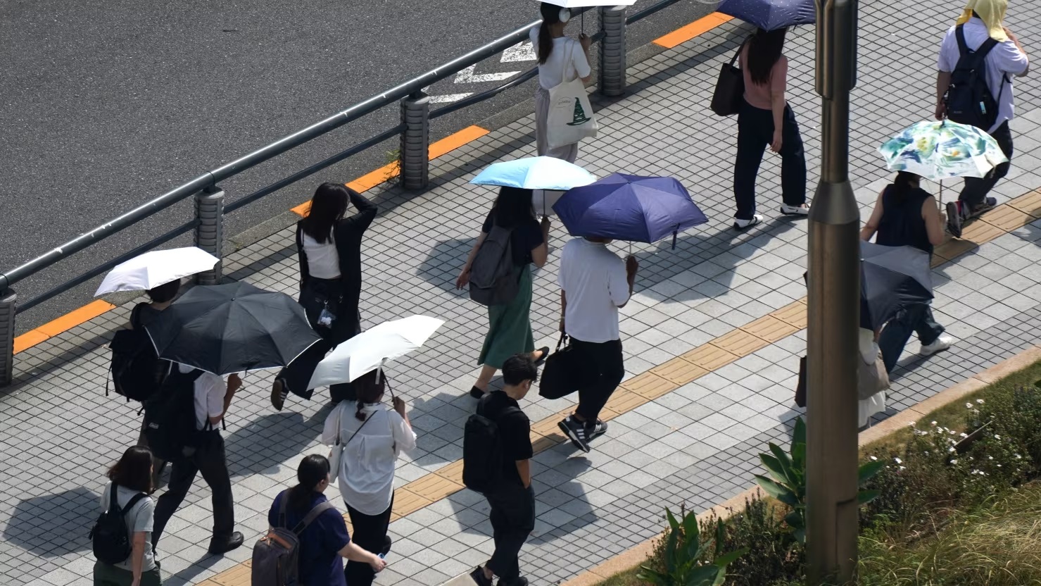 东京，人们撑着伞在烈日下行走